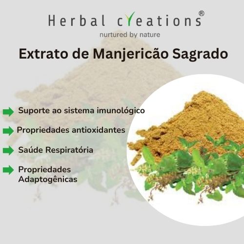 Extrato de Ocimum Sanctum